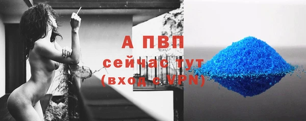 соль ск Богданович