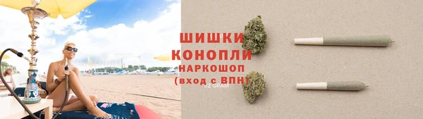 соль ск Богданович
