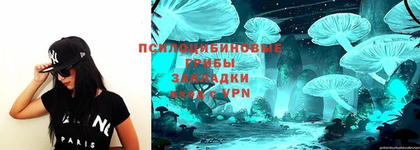 соль ск Богданович